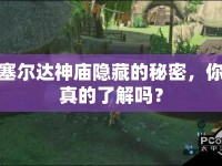 塞爾達(dá)神廟隱藏的秘密，你真的了解嗎？