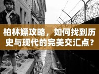 柏林嫖攻略，如何找到歷史與現(xiàn)代的完美交匯點(diǎn)？