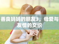 善良媽媽的朋友3，母愛與友情的交織