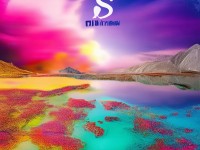 PS調(diào)色大片效果揭秘：如何讓照片瞬間升級？你掌握了嗎？