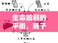 生命脆弱的平衡，腸子流出的生死瞬間