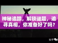 神秘追蹤，解鎖謎題，追尋真相，你準備好了嗎？