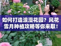 如何打造浪漫花園？風(fēng)花雪月種植攻略等你來??！