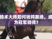 騎術(shù)大師如何馳騁賽場(chǎng)，成為冠軍騎師？