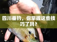 四川垂釣，你掌握這些技巧了嗎？