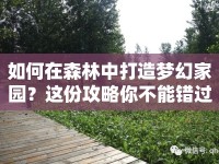 如何在森林中打造夢(mèng)幻家園？這份攻略你不能錯(cuò)過(guò)！