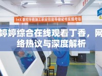 婷婷綜合在線觀看丁香，網(wǎng)絡(luò)熱議與深度解析