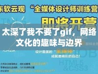 太深了我不要了gif，網(wǎng)絡(luò)文化的趣味與邊界
