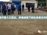 音德?tīng)栨?zhèn)人口流出，多維透視下的社會(huì)變遷與挑戰(zhàn)