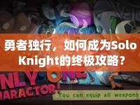 勇者獨(dú)行，如何成為Solo Knight的終極攻略？