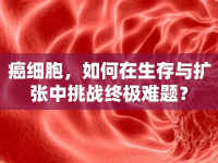 癌細(xì)胞，如何在生存與擴(kuò)張中挑戰(zhàn)終極難題？