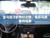 寶馬流汗的奇幻之旅，色彩與想象的探索