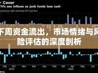 下周資金流出，市場(chǎng)情緒與風(fēng)險(xiǎn)評(píng)估的深度剖析