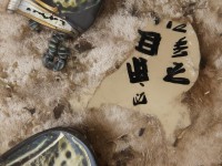 縱情欲海，網絡時代的欲望與反思