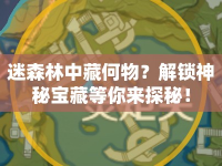 迷森林中藏何物？解鎖神秘寶藏等你來(lái)探秘！