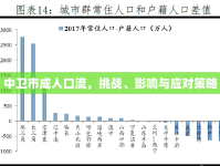 中衛(wèi)市成人口流，挑戰(zhàn)、影響與應(yīng)對策略