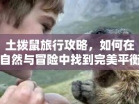 土撥鼠旅行攻略，如何在自然與冒險中找到完美平衡？