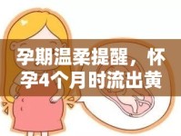 孕期溫柔提醒，懷孕4個(gè)月時(shí)流出黃色液體的原因與注意事項(xiàng)