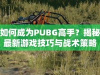 如何成為PUBG高手？揭秘最新游戲技巧與戰(zhàn)術(shù)策略！