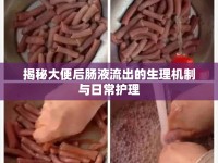 揭秘大便后腸液流出的生理機(jī)制與日常護(hù)理