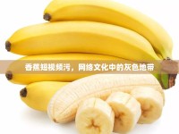 香蕉短視頻污，網(wǎng)絡(luò)文化中的灰色地帶