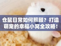 倉(cāng)鼠日常如何照顧？打造萌寵的幸福小窩全攻略！
