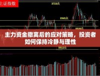 主力資金撤離后的應(yīng)對策略，投資者如何保持冷靜與理性