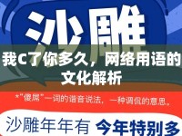 我C了你多久，網(wǎng)絡(luò)用語的文化解析