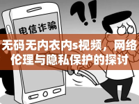 無(wú)碼無(wú)內(nèi)衣內(nèi)s視頻，網(wǎng)絡(luò)倫理與隱私保護(hù)的探討