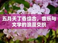 五月天丁香綜合，音樂(lè)與文學(xué)的浪漫交織