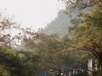 神雕俠侶手游如何打造高效、安全的虛擬物品交換平臺(tái)？