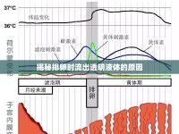 揭秘排卵時流出透明液體的原因