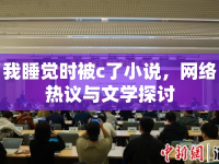 我睡覺時(shí)被c了小說，網(wǎng)絡(luò)熱議與文學(xué)探討
