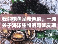 我的鮑魚(yú)是粉色的，一場(chǎng)關(guān)于海洋生物的奇妙發(fā)現(xiàn)