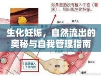 生化妊娠，自然流出的奧秘與自我管理指南