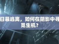 日暮逃離，如何在陰影中尋覓生機？