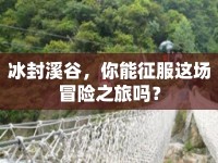 冰封溪谷，你能征服這場(chǎng)冒險(xiǎn)之旅嗎？