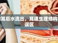 揭秘掏耳后水流出，耳道生理結構與清潔誤區(qū)