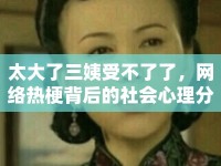 太大了三姨受不了了，網(wǎng)絡(luò)熱梗背后的社會心理分析