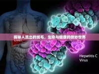 揭秘人流出的絨毛，生命與健康的微妙世界