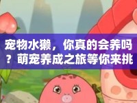 寵物水獺，你真的會養(yǎng)嗎？萌寵養(yǎng)成之旅等你來挑戰(zhàn)！