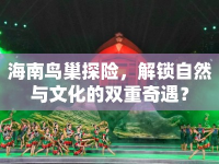海南鳥巢探險，解鎖自然與文化的雙重奇遇？