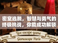 密室逃脫，智慧與勇氣的終極挑戰(zhàn)，你能成功解鎖嗎？