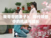 我哥哥的妻子3，現(xiàn)代婚姻中的挑戰(zhàn)與成長