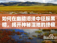 如何在幽暗沼澤中征服黑暗，揭開神秘濕地的終極秘密？