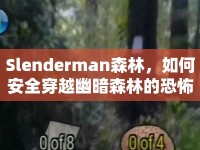 Slenderman森林，如何安全穿越幽暗森林的恐怖之旅？