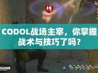 CODOL戰(zhàn)場(chǎng)主宰，你掌握戰(zhàn)術(shù)與技巧了嗎？
