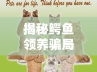 揭秘鱷魚領養(yǎng)騙局，網(wǎng)絡愛心陷阱需警惕