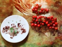 想擁有獨(dú)一無二的修仙仙府？這篇攻略教你如何打造！