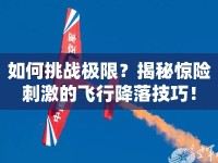 如何挑戰(zhàn)極限？揭秘驚險(xiǎn)刺激的飛行降落技巧！